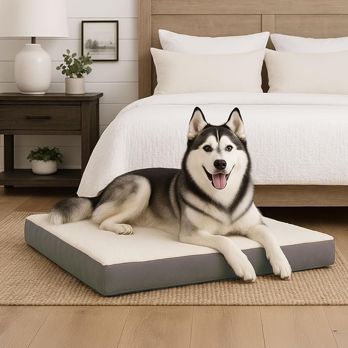 Orthopedic Dog Bed - 2-Layer 44x35-Inch Memory Foam Pet Mattress with Machine-Washable Sherpa Cover for Large Dogs up to 100lbs by PETMAKER (Gray)
