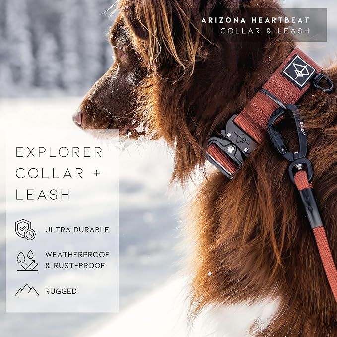 Made to ROAM Premium Dog Collar - Adjustable Heavy Duty Nylon Collar with Quick-Release Metal Buckle (Carolina Blooms, Classic Size 1)