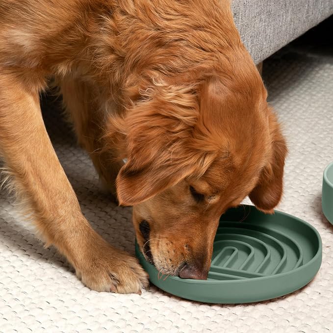 Should We Go? Slow Feeder Dog Bowls - Large Size Silicone Slow Eating Dog Bowl for Puppies & Dogs with Suction Cup -Dishwasher-Safe, Lick Mat Design, Reduces Gulping,for All Breeds,9.5”x1.5”- Spruce