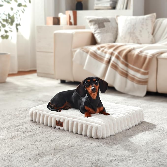 Dog Bed Medium Sized for Crate, Orthopedic Pet Pad for Dogs with Removable Washable Cover, Waterproof Dogs Beds Up to 40 lbs, Soft Plush Surface & Egg Foam for Calming, 30x20x3 Inch, Cream