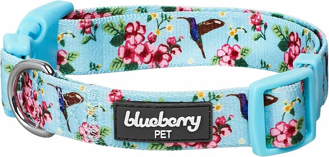 Blueberry Pet Spring Scent Inspired Flower and Hummingbird Adjustable Dog Collar, Sky Blue, Small, Neck 12"-16"