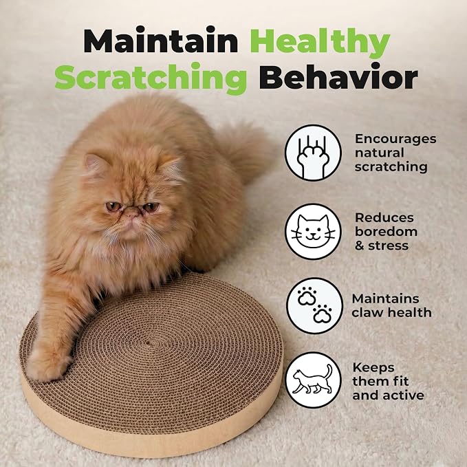 Best Pet Supplies Catify Cat Scratcher, Fun Interactive Scratchers, Posts, Poles, Claw Safe, Furniture Saver Indoor Play Support Natural Cat Behaviors Heavy Duty - Round(5 Pack)