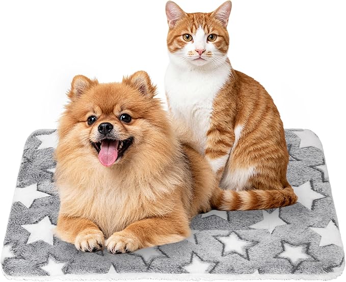 Dog Bed Mat,Soft Dog Kennel Pad with Cute Pattern (Gray Star, XL) | Multi-Size Durable & Machine Washable,Pet Pad for Dogs & Cats