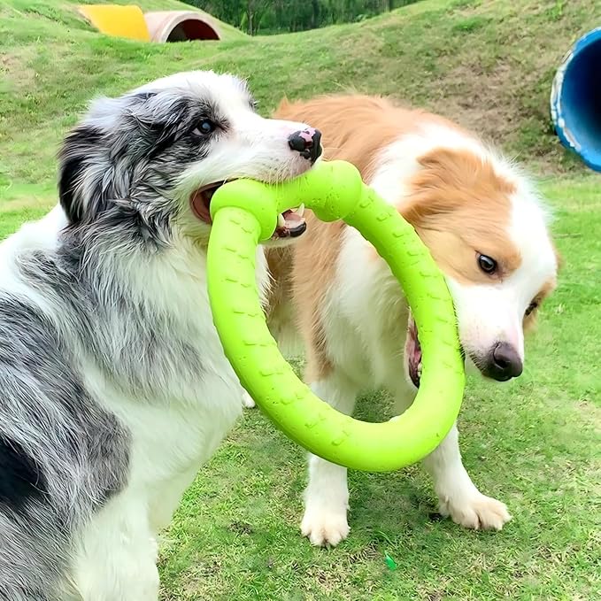 LaRoo Dog Ring Toy, Durable Soft Flying Disc, Thickened, Floatable Pool Toy for Medium Large Dogs, Interactive Tug of War & Fetch Toy for Outdoor Training, Teeth Cleaning & Exercise (Green-11.8inch)