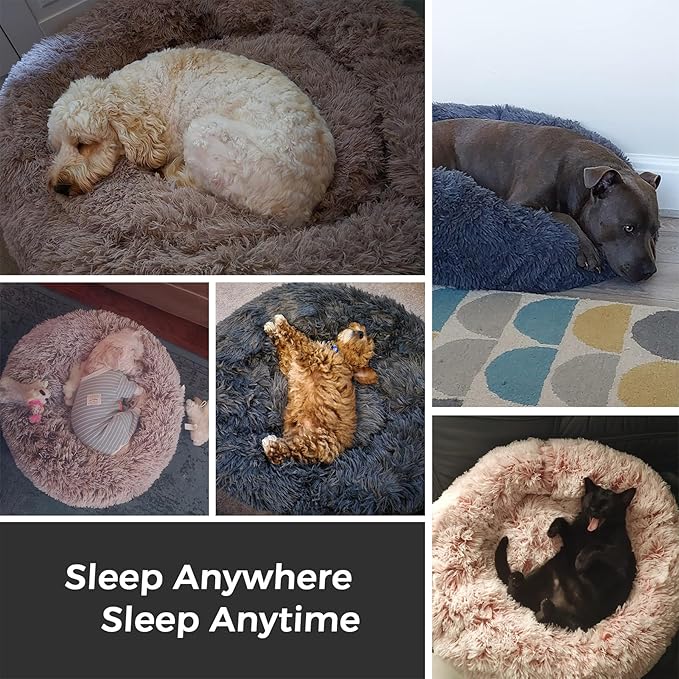 Calming Round Dog Bed & Cat Bed for Indoor Cats, Medium Size Washable Anti-Slip Anti-Anxiety Donut Dog Beds for Small Dogs & Cats, Fluffy Plush Soft Dog Bed(20 Inch, Light Grey)