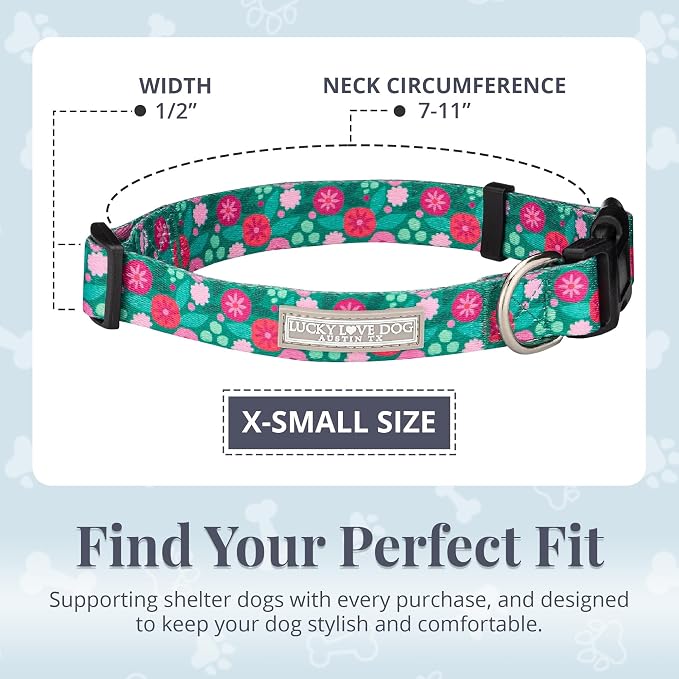 Lucky Love Dog - Adjustable Dog Collar with Easy Click Buckle for Small Dogs, Durable, & Comfortable for Male & Female Dogs, Pet Collar for Puppies & Adult Ones - Penny, XS
