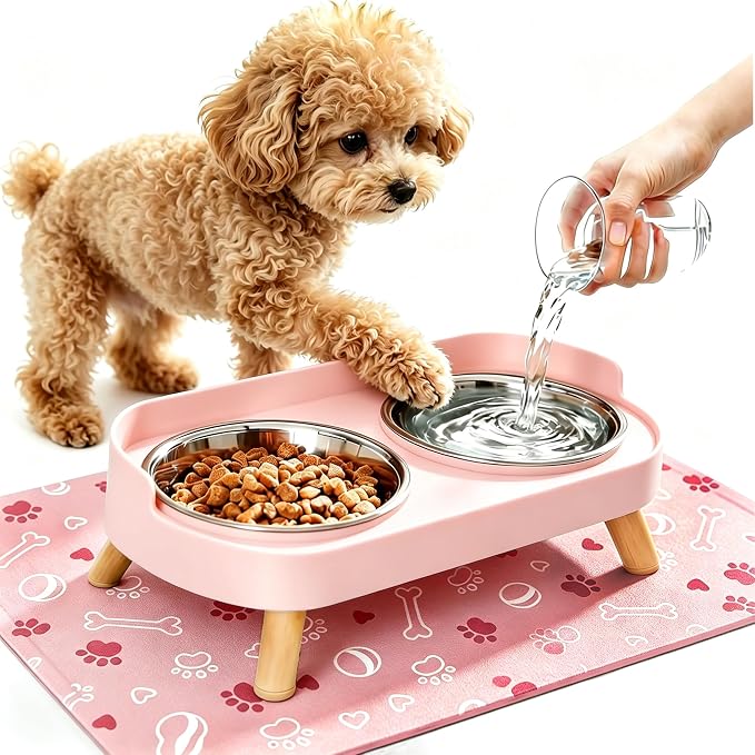 Elevated Dog Bowls with Mat, 2 Stainless Steel for Small Dogs Under 25 Lb | Raised Bowl Stand, Food & Water Set for Cats & Puppies, Splash Proof, Dishwasher Safe, Stain-Resistant Quick-Dry Mat
