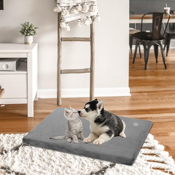 EMPSIGN Dog Bed Mat Crate Pad Mattress, Ultra Soft Pet Kennel, Grey, Small | Reversible(Cool & Warm), Waterproof Linings, Removable Machine Washable Cover, for 24" Dog Crate, Firm Support