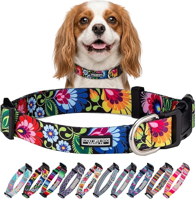 Lucky Love Dog - Adjustable Dog Collar with Easy Click Buckle for Small Dogs, Durable, & Comfortable for Male & Female Dogs, Pet Collar for Puppies & Adult Dogs - Blackbird, Small