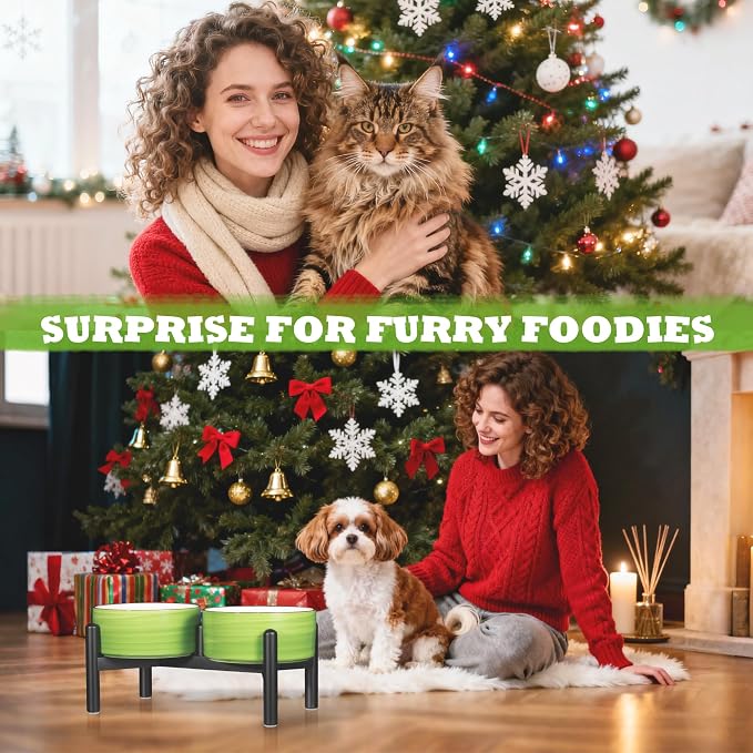 Ceramic Elevated Dog Bowl Set, 6.1''Raised Dog Food and Water Bowl Set with Non-Slip Stainless Steel Stand, Double Raised Dish for Small and Medium Breed, 3.5 Cups / 22 Fl Oz, Red