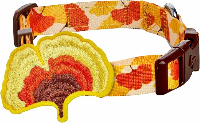 Blueberry Pet Thanksgiving Fall Ginkgo Biloba Leaf Adjustable Dog Collar with Detachable Accessory, Small, Neck 12"-16"