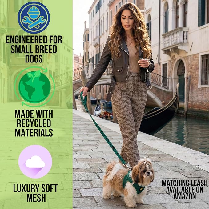 EcoBark Step in Dog Harness Reflective Soft Ultra Padded Mesh Dog Harnesses for XXS, XS, Small, and Medium Dogs Eco-Friendly Comfort Secure Halter No Pull Adjustable Pet Vest