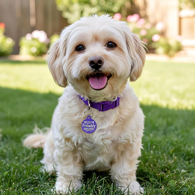 Bad Tags Personalized Dog and Cat ID Tags in 25+ Designs and 2 Sizes - 5 Lines of Custom Engraved Text - Funny Cute Personalized Pet Tags (Hello I'm Probably Anxious - Purple, Small (1 inch))