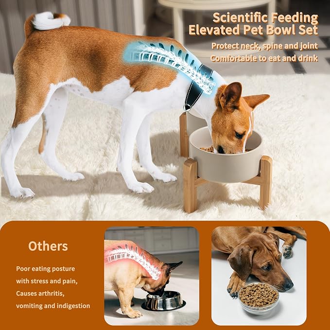 PTOBER Elevated Ceramic Dog Bowl Set - Double Feeding Bowls with Non-Slip Bamboo Stand - Raised Dog Dishes for Food and Water - Ideal for Small to Medium Breeds - 3.6 Cups