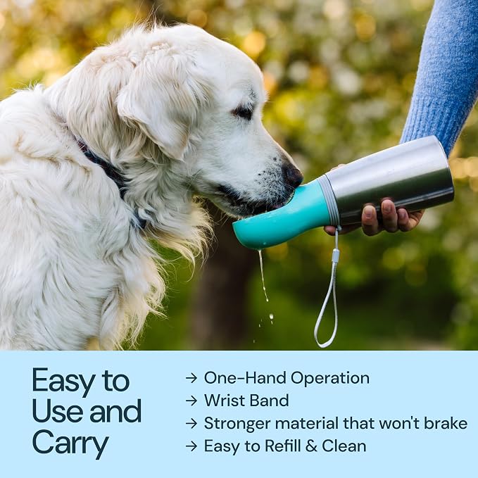 MalsiPree Insulated Dog Water Bottle - 24 oz Blue, Stainless Steel | 24oz insulated steel bottle & bowl - leak-proof - Use for dog travel, hiking, park & beach days