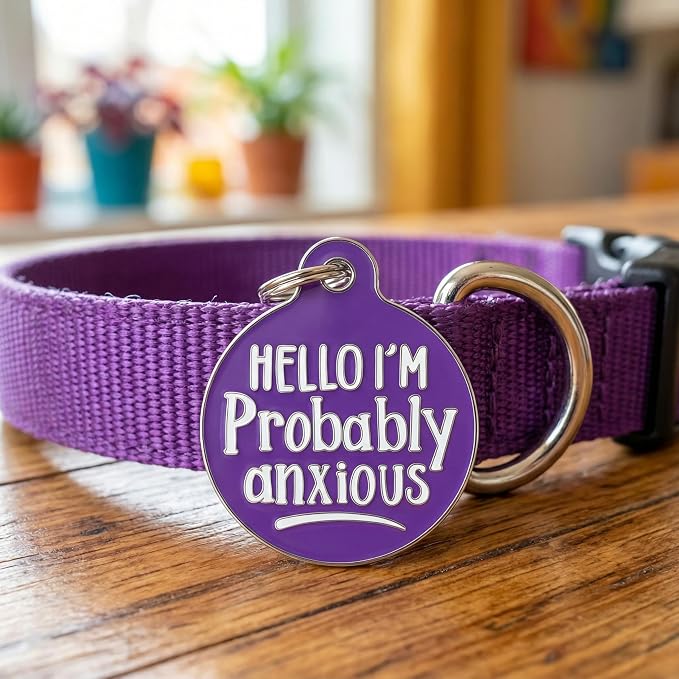 Bad Tags Personalized Dog and Cat ID Tags in 25+ Designs and 2 Sizes - 5 Lines of Custom Engraved Text - Funny Cute Personalized Pet Tags (Hello I'm Probably Anxious - Purple, Small (1 inch))