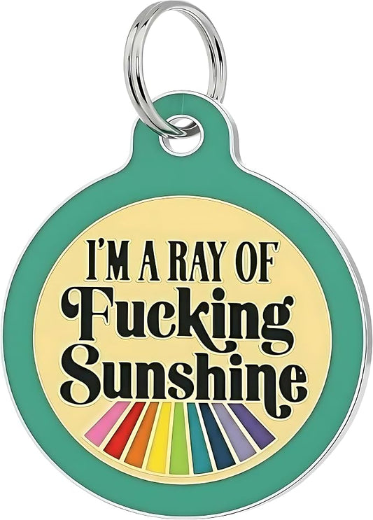 Bad Tags Personalized Dog and Cat ID Tags in 25+ Designs and 2 Sizes - 5 Lines of Custom Engraved Text - Funny Cute Personalized Pet Tags (I'm A Ray of F*cking Sunshine - Teal, Large (1.25 inch))