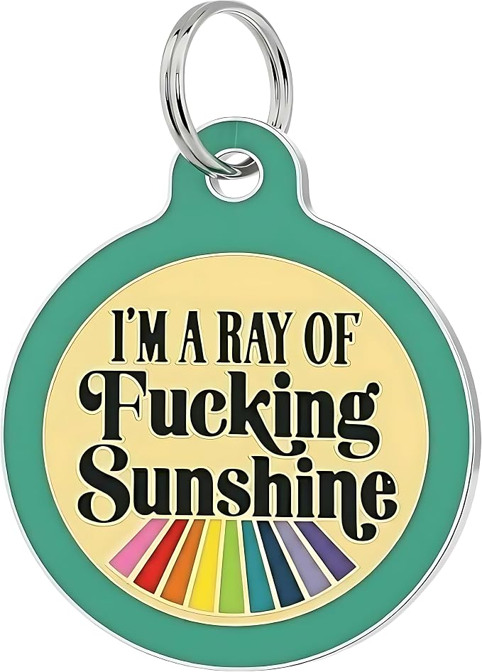 Bad Tags Personalized Dog and Cat ID Tags in 25+ Designs and 2 Sizes - 5 Lines of Custom Engraved Text - Funny Cute Personalized Pet Tags (I'm A Ray of F*cking Sunshine - Teal, Small (1 inch))