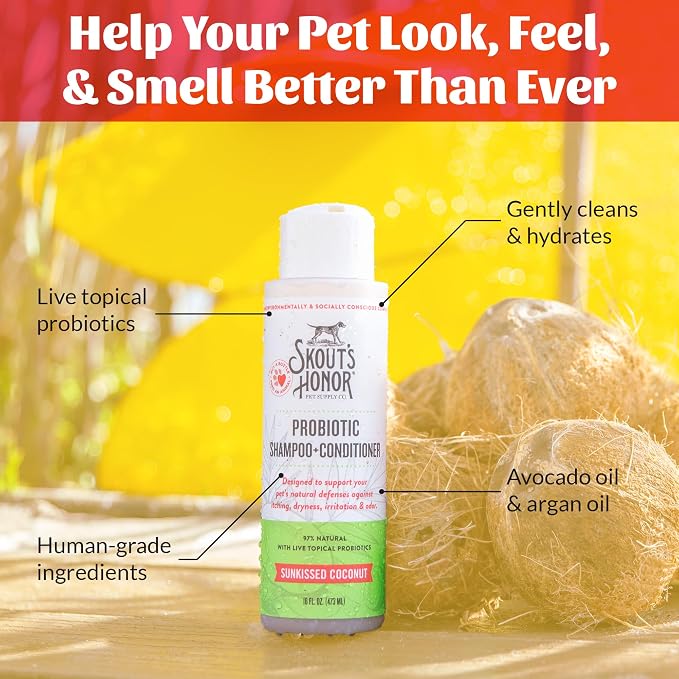 SKOUT'S HONOR Probiotic Dog Shampoo and Conditioner - SC, 16 oz | Natural 2-in-1 for Itchy Skin, Microbiome-Friendly with Avocado Oil & Omega-3s, Paraben & Sulfate-Free