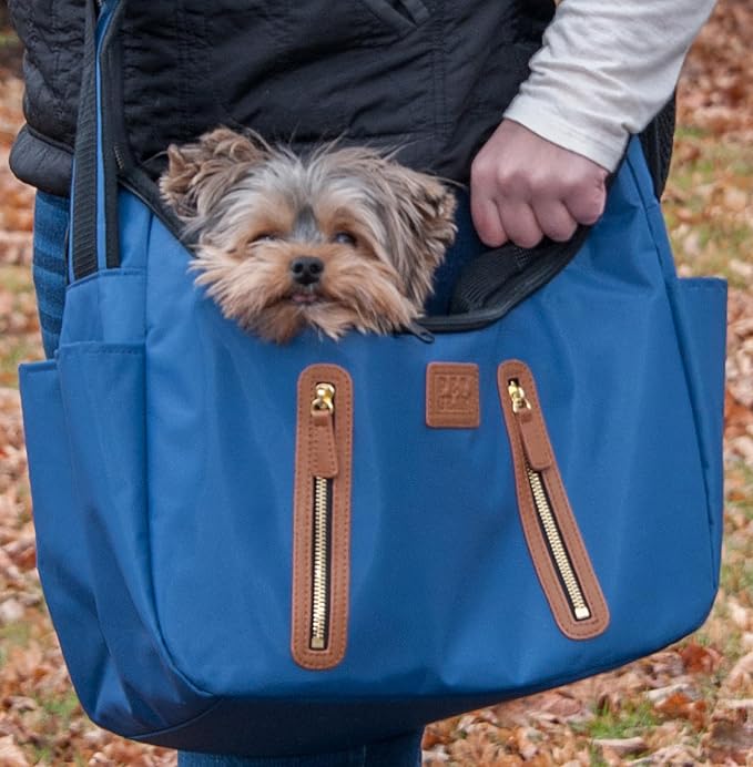 Pet Gear Carrier and Car Seat, Caribbean Blue | For Small Dogs & Cats