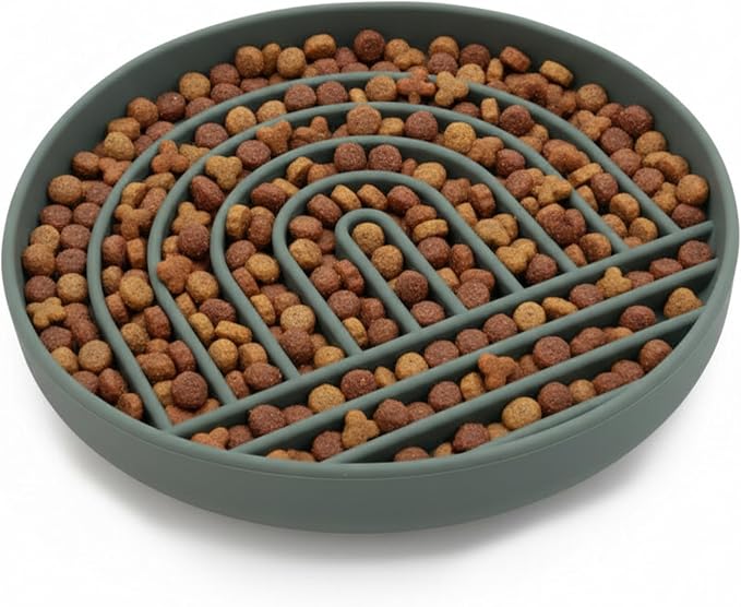 Should We Go? Slow Feeder Dog Bowls - Large Size Silicone Slow Eating Dog Bowl for Puppies & Dogs with Suction Cup -Dishwasher-Safe, Lick Mat Design, Reduces Gulping,for All Breeds,9.5”x1.5”- Spruce