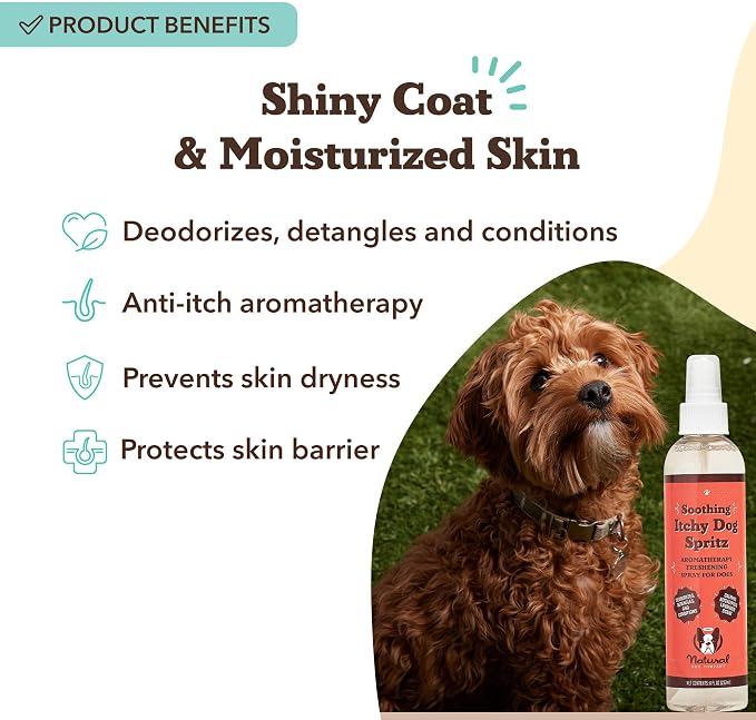 Natural Dog Company Dog Spray for Itchy Skin - 8 oz – Hypoallergenic Deodorizing Spritz with Aloe, Lavender & Calendula – for Itchy Skin, Refresh Coat Between Baths – No Parabens and Alcohol Free