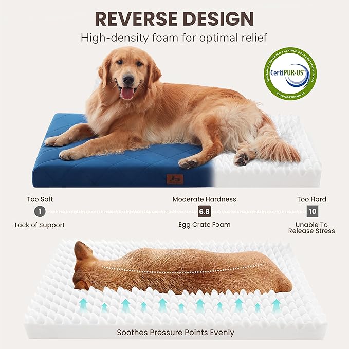 Orthopedic Dog Bed Mat Large Medium Sized Dogs, Waterproof Dog Crate Bed with Removable Cover, Washable Pet Bed with Egg Crate Foam, 35"x22", NOT Chewproof