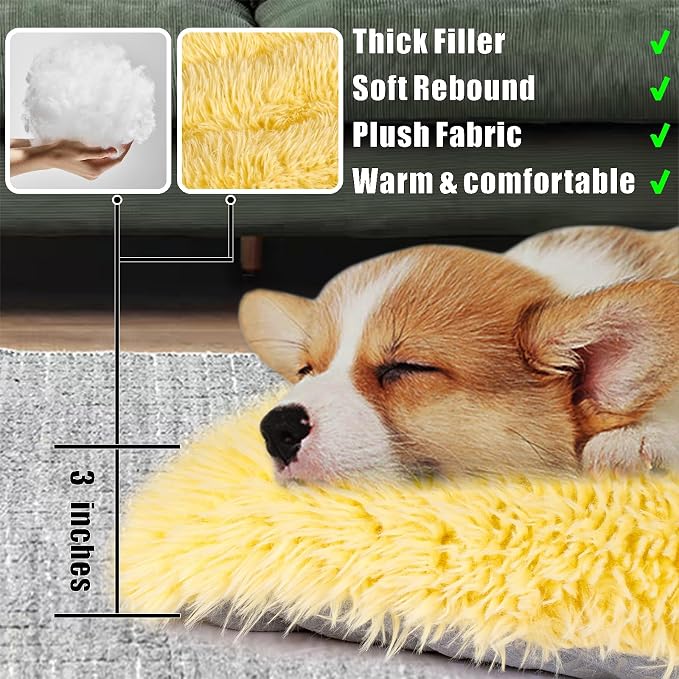 Machine Washable Dog Bed, Deluxe Plush Dog Crate Pad and Cat Bed, Anti-Slip Bottom Kennel Pad Mat, Fuzzy Pet Beds for Large, Medium, Small Dogs Breeds (Light Yellow, 24.0"L x 18.0"W x 3.0"Th x 2 PACK)