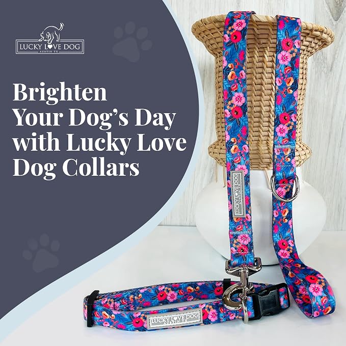 Lucky Love Dog - Adjustable Dog Collar and Leash Set with Easy Click Buckle for Small Dogs, Durable, & Comfortable Collar for Male & Female Dogs, Puppies & Adult Dogs - Zuzu, XS