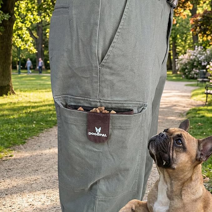 DOGOPAL Dog Treat Pouch for Training, Compact Pocket Treat Pouch with Magnetic Closure, Slim Dog Treat Bag and Treat Holder for Walks (Brown)