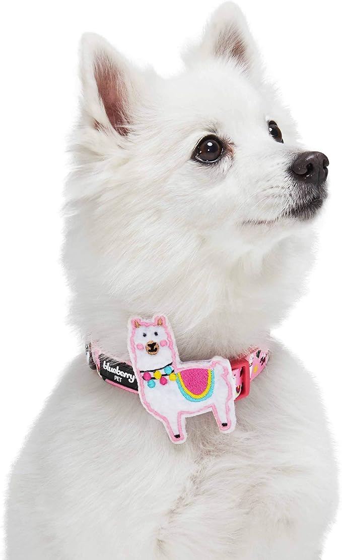 Blueberry Pet Happy Llamas Adjustable Dog Collar with Detachable Décor, Large, Neck 18"-26"