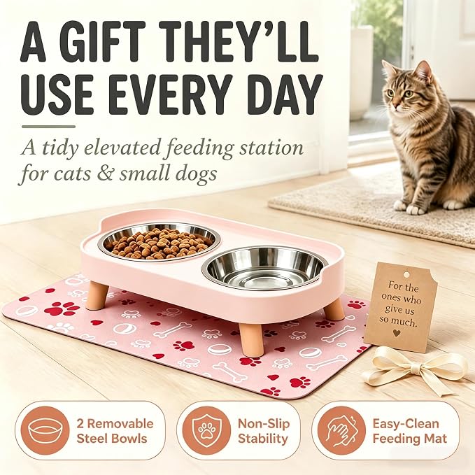 Elevated Dog Bowls with Mat, 2 Stainless Steel for Small Dogs Under 25 Lb | Raised Bowl Stand, Food & Water Set for Cats & Puppies, Splash Proof, Dishwasher Safe, Stain-Resistant Quick-Dry Mat