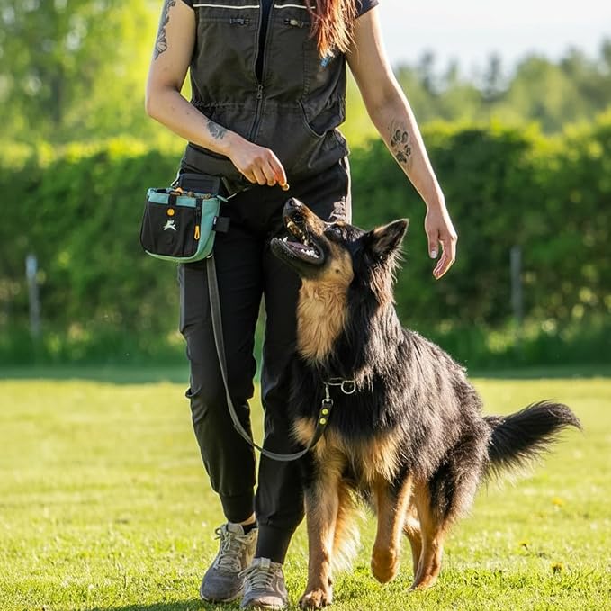 Backcountry Day Bag | Dog Training Treat Pouch | Eco-Friendly Recycled Fabric Fanny Pack with Zipper Closure, Built-in Poop Bag Dispenser & Adjustable Waist Belt (Surf)