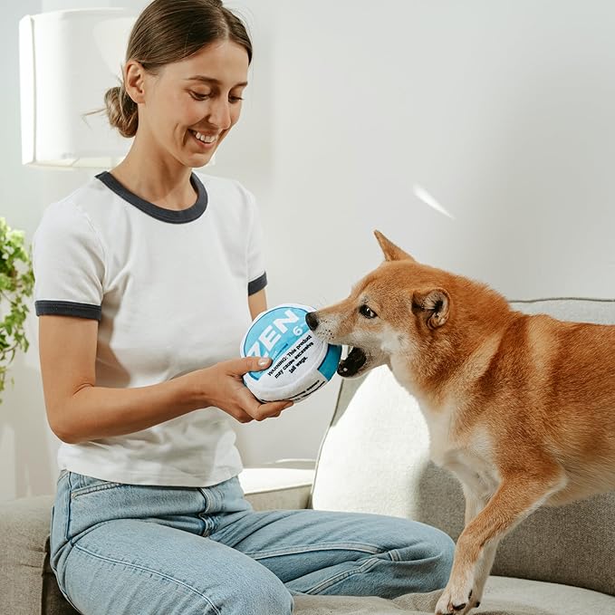 Nestpark Zen Pupper Deckies Parody Dog Toy - Plush Squeaky and Crinkle Funny Dog Toy - Drool Mint