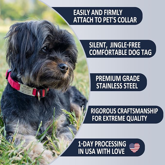 Rugged & Refined: Immovable Slide-On Pet ID Tag - Silent No-Noise Design - Deep Laser Engraved Horology-Grade Steel - Small | PVD Rose Gold