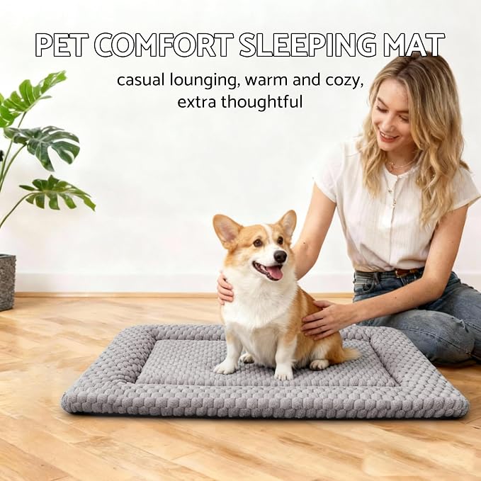 Dog Bed Mat - Dog Crate Pad - Reversible Mat for Pet Comfort - Soft Bed Crate Pads for All Seasons - Durable, Machine Washable Mat for Crates, Travel, and Home (Light Gray, 24" L*18" W*1.5" Th)