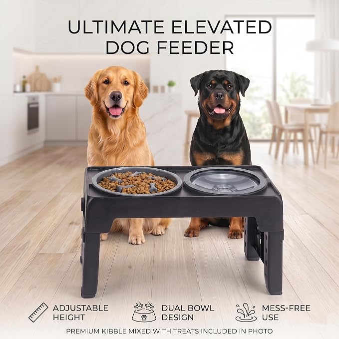 LALOBLUE Collapsible Dog Bowls Raised Elevated Adjust Stand | Elevated Dog Bowls, Dog Bowls Raised, Dog Bowls Elevated,5 Heights Adjustable Elevated Raised Dog Bowls Stand