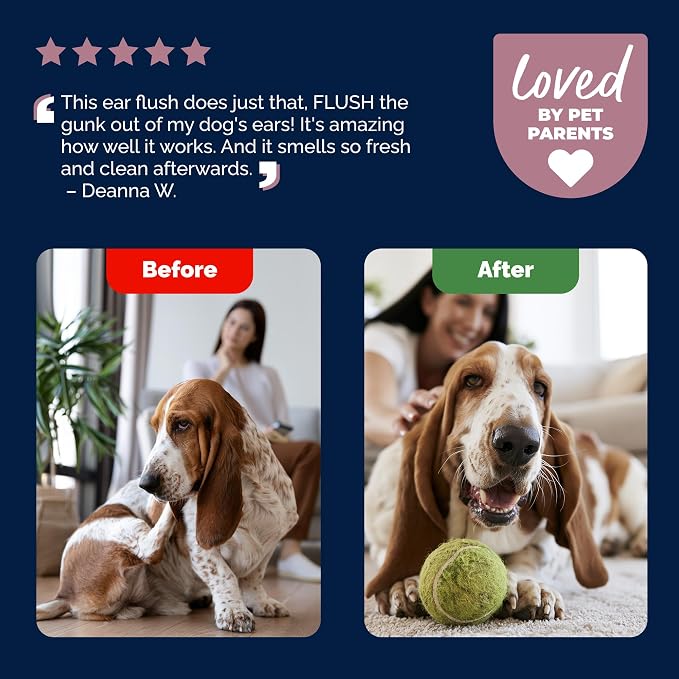 Vetnique Oticbliss Cat & Dog Ear Cleaner & Drying Flush for Wax & Odor | Dog Ear Wash & Drying Solution, Ear Wax Remover & Cleaner for Cats & Dogs, Aloe Soothes Itchy Ears After Swim, Bath & Groom