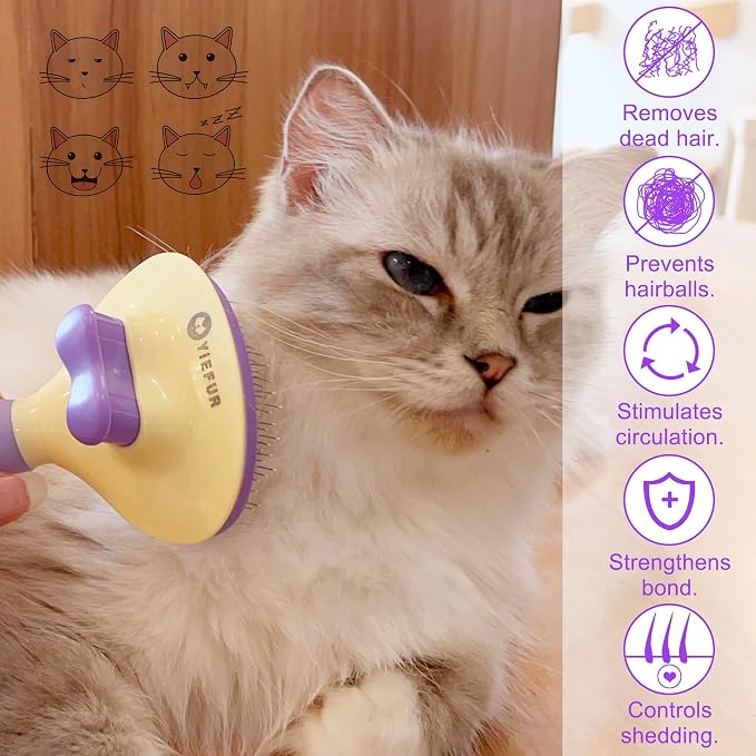 Cat Brush for Grooming and Shedding, Self-Cleaning Silicone Brush for Short and Long Haired Cats, Cat Gifts for Pet Lovers (purple) | For Indoor Cats,Removes Loose Hair,Reduces Shedding,Soft Rounded Tips,Ergonomic Silicone Handle,Gentle Massage,Easy Gr...