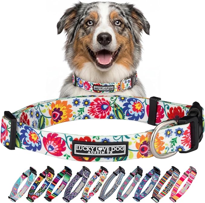 Lucky Love Dog - Adjustable Dog Collar with Easy Click Buckle for Medium, Durable, & Comfortable for Male & Female Dogs, Pet Collar for Puppies & Adult Dogs - Ladybird, Medium