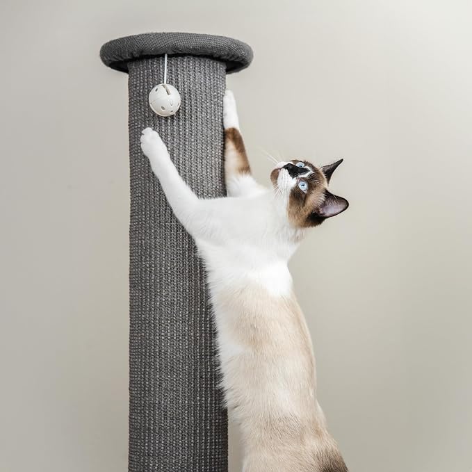 Kitty City Tall Sisal Cat Scratching Post, 32” Durable Scratcher with Sturdy Base & Hanging Jingle Toy, Easy Assembly, Furniture Protection for Indoor Cats - Gray