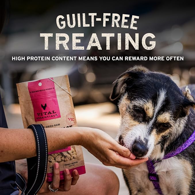 Vital Essentials Freeze Dried Dog Treats, Duck Bites, 5.5 oz Bag | Single Protein, Premium Quality, Grain-Free Training Treats
