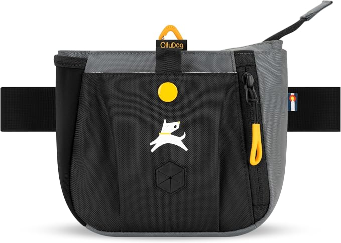 Backcountry Day Bag | Dog Training Treat Pouch | Eco-Friendly Recycled Fabric Fanny Pack with Zipper Closure, Built-in Poop Bag Dispenser & Adjustable Waist Belt (Castle Rock)