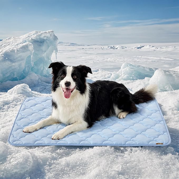 ZOMISIA Dog Cooling Mat for Extra Large Dogs, Q-Max>0.5 Thin Breathable Crate Pad for Pet, Portable Washable Kennel Pad for Summer Outdoor, 41x27, Blue