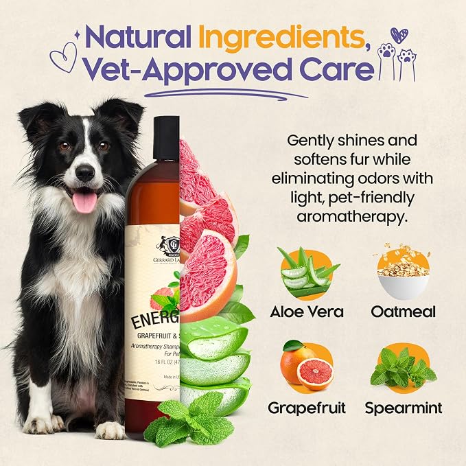 Dog Shampoo and Conditioner Energizing Grapefruit & Spearmint 16 Oz Dog Shampoo Itchy Skin Relief Aromatherapy Dog Shampoo for Smelly Dogs with Aloe Vera & Oatmeal Shampoo for Dogs by Gerrard Larriett