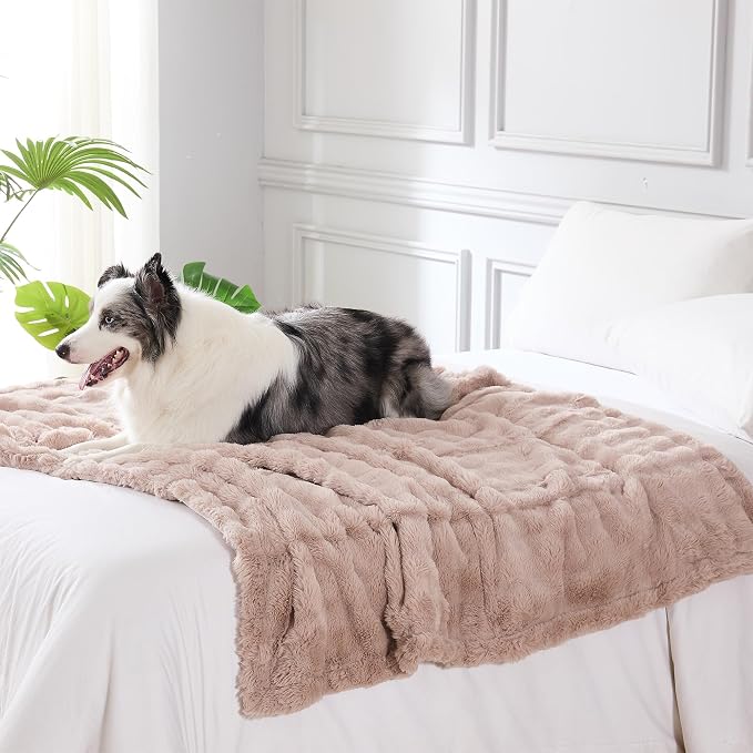Modern Threads Water-Resistant Faux Rabbit Fur Pet Blanket for Dogs & Cats – Ultra-Soft Couch, Bed & Crate Protector, 40x50 Khaki