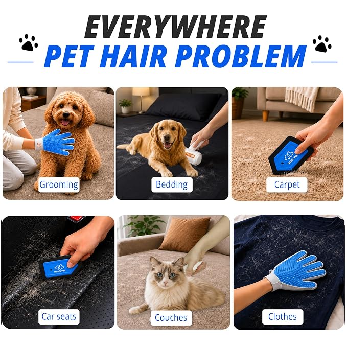 Pet Hair Removal for Home & Car 3-in-1 – Reusable Dog & Cat Removal Kit with Pet Tool, Glove, Mini Detail Cleaning & Furniture Hair Remover for Couch, Upholstery & Car Seats (Blue, Combo 3-in-1)