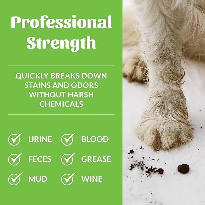 SKOUT'S HONOR Pet Stain and Odor Remover, 35 oz | Professional-Strength Home and Carpet Cleaner for Dog Urine, Poop, Mud, Sweat and Pet Messes, Plant-Powered BioKore Formula