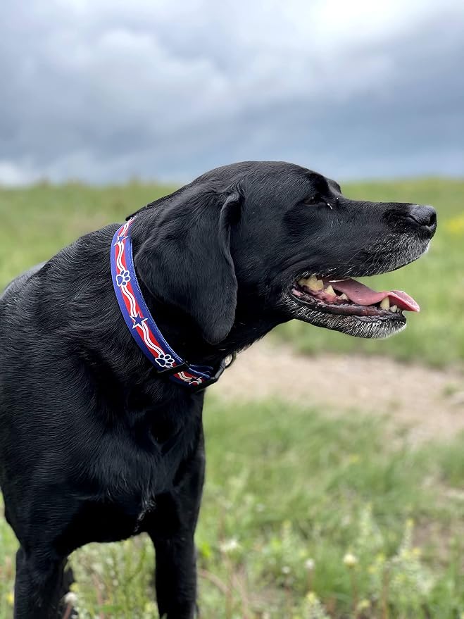 Native Pup American Flag Dog Collar- Red White and Blue- Patriotic Collars for 4th of July, USA- Adjustable Small, Medium, Large Breed Dogs (Medium, Paws)