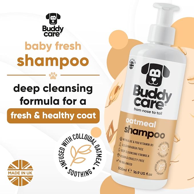 Oatmeal Dog Shampoo by Buddycare | Shampoo for Dogs with Irritated Skin | Relieving and Rehydrating | with Aloe Vera and Pro Vitamin B5 (50.72oz)